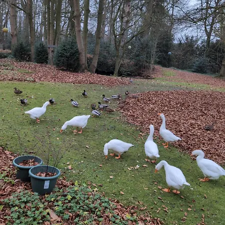 Eremyten Hof Evergem